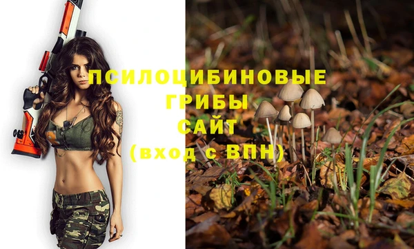 спайс Лихославль