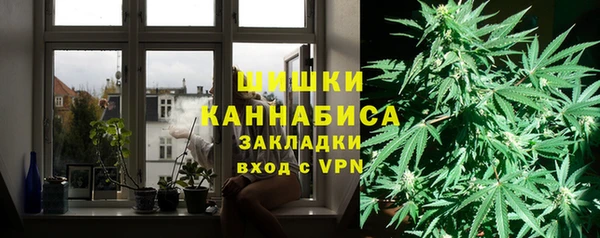тгк Лиски