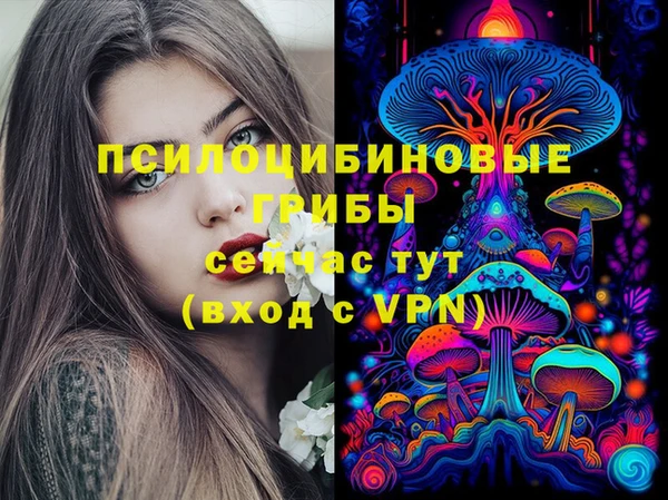 тгк Лиски