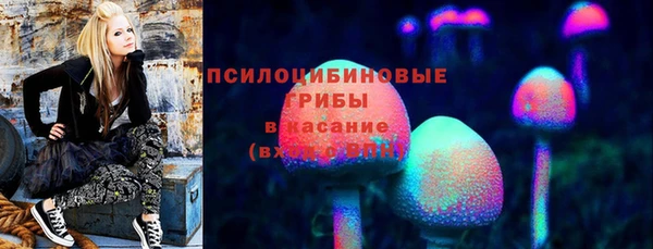 соль курить ск Липки