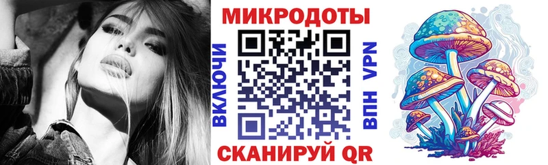 Галлюциногенные грибы Psilocybe Скопин