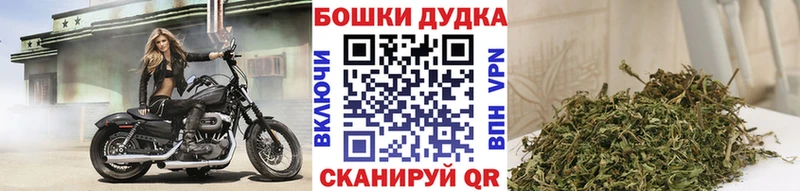 Канабис планчик  Купить где  Скопин 
